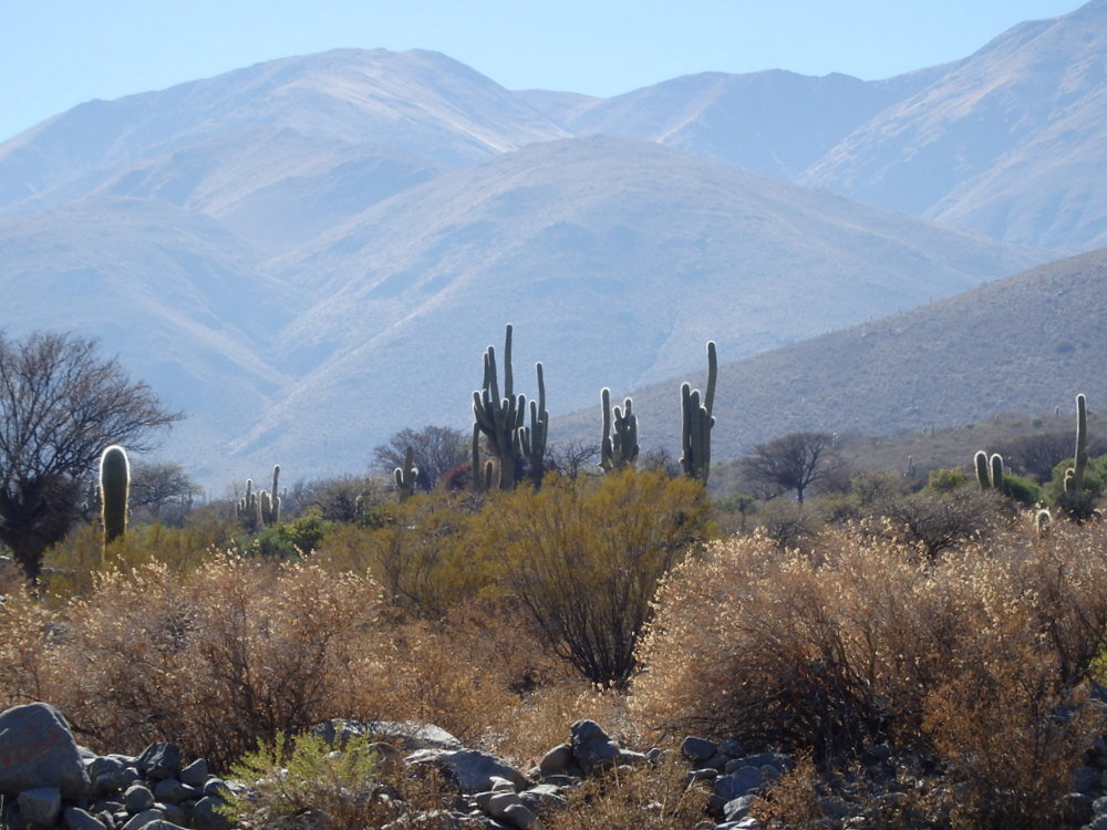 Looking north.